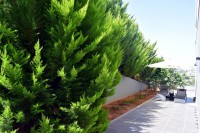 /album/fotografies/dsc-0432-jpg/