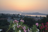 /album/fotografies/dsc-0115-jpg/