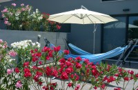 /album/fotografies/dsc-0002-jpg/